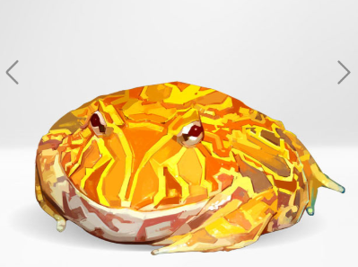 角蛙品种之一黄金角蛙
