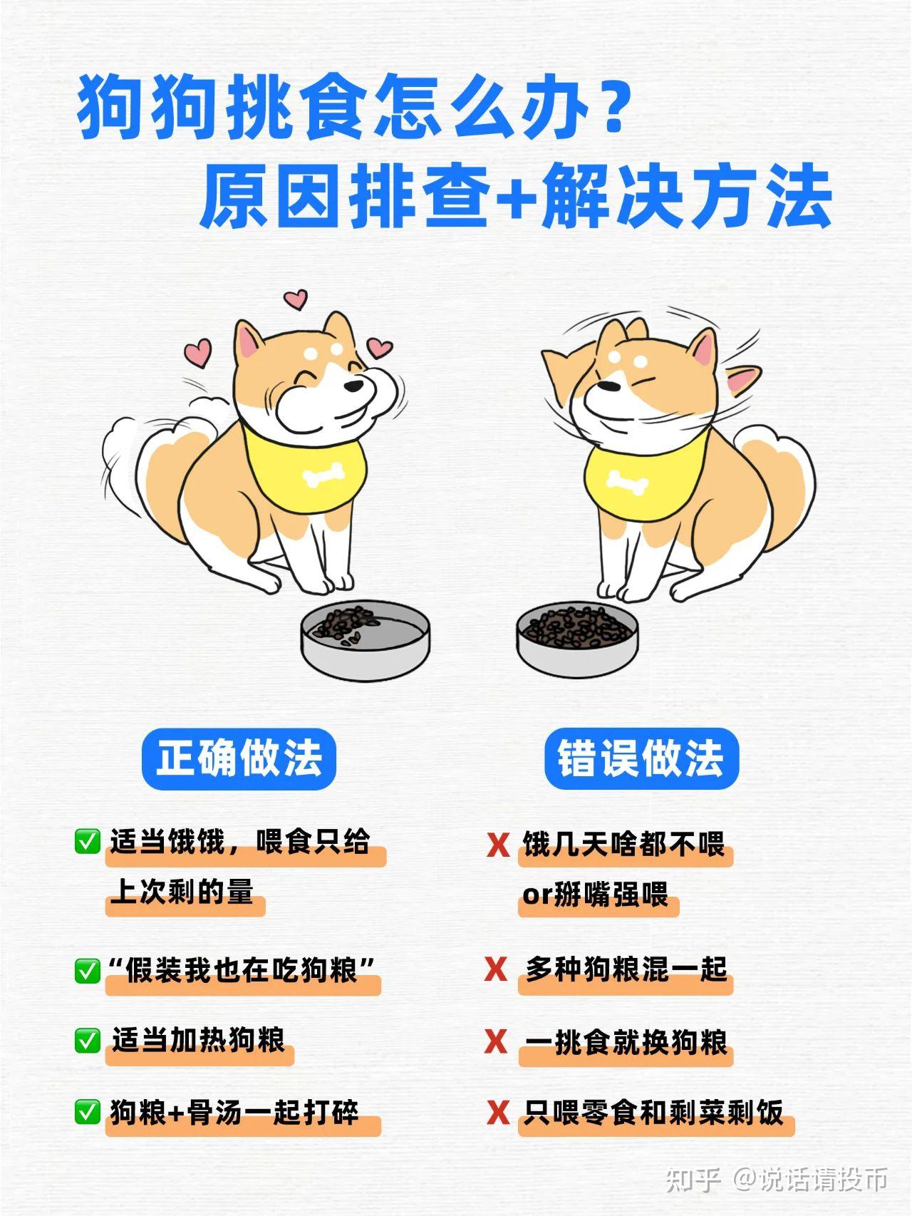 狗只吃狗粮不吃其他饭怎么办? - 知乎