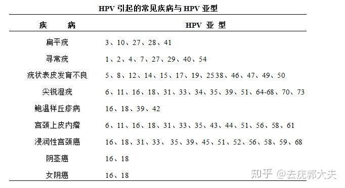 hpv中危亚型26阳性代表什么