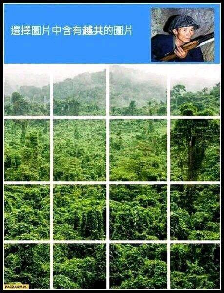 各种越共梗的由来是什么