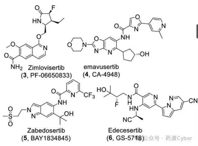 解析IRAK4抑制剂：BIO-8169的发现 - 知乎