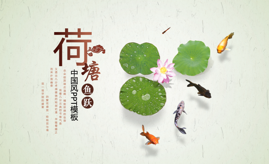 荷塘鲤鱼中国风宣传课件计划动态PPT模板 - 知乎