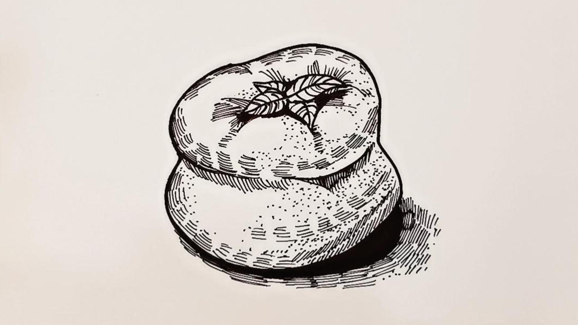 适合8-12岁线描画《冻柿子》快学起来吧! - 知乎