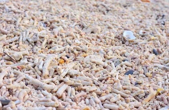 涠洲岛旅游攻略有哪些?