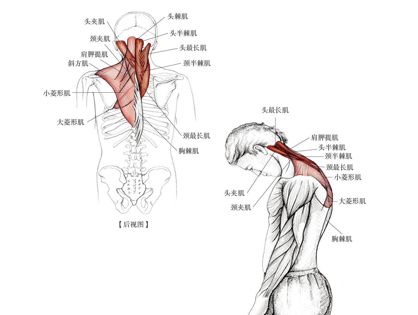 前后转圈甩式动作是很好的肩关节热身拉伸运动嘛好的肩部拉伸动作和