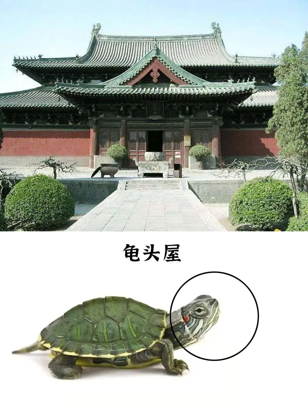 什么是抱厦? - 知乎