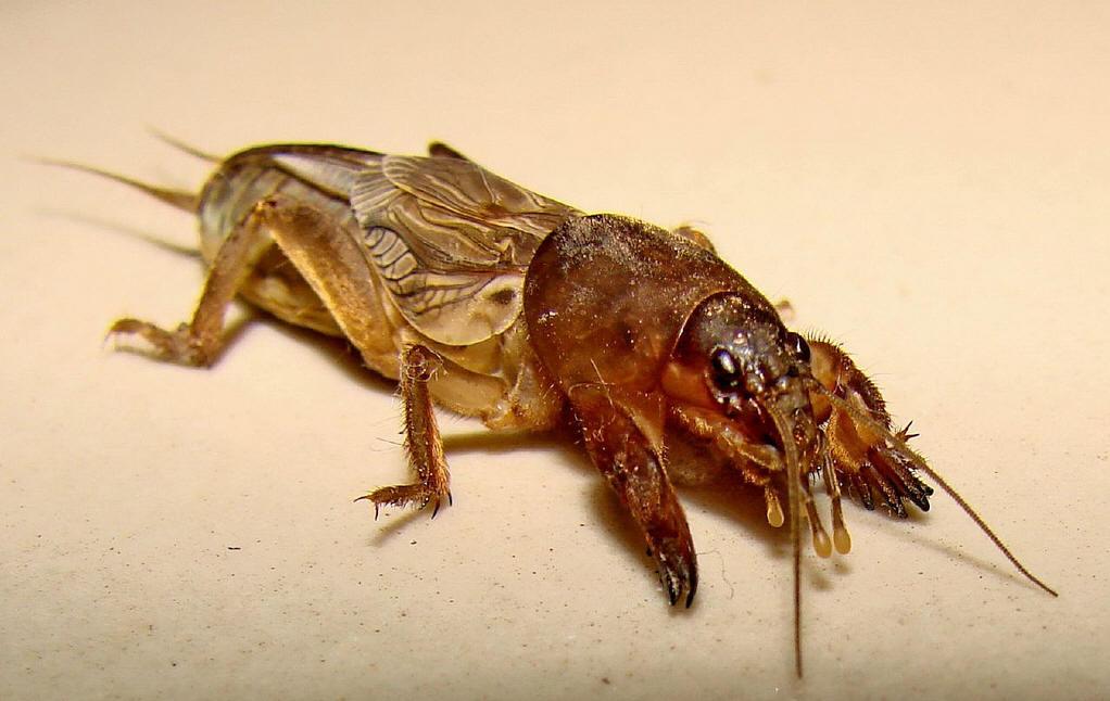 你用过哪些神奇的偏方? - 知乎