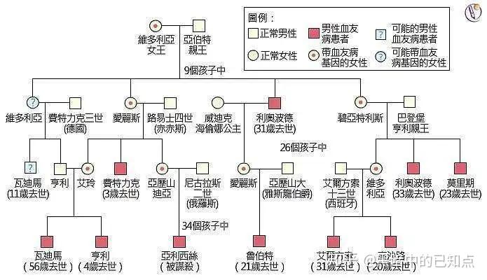 为保证所谓的血统纯正,各国贵族们做过哪些蠢事 - 知乎