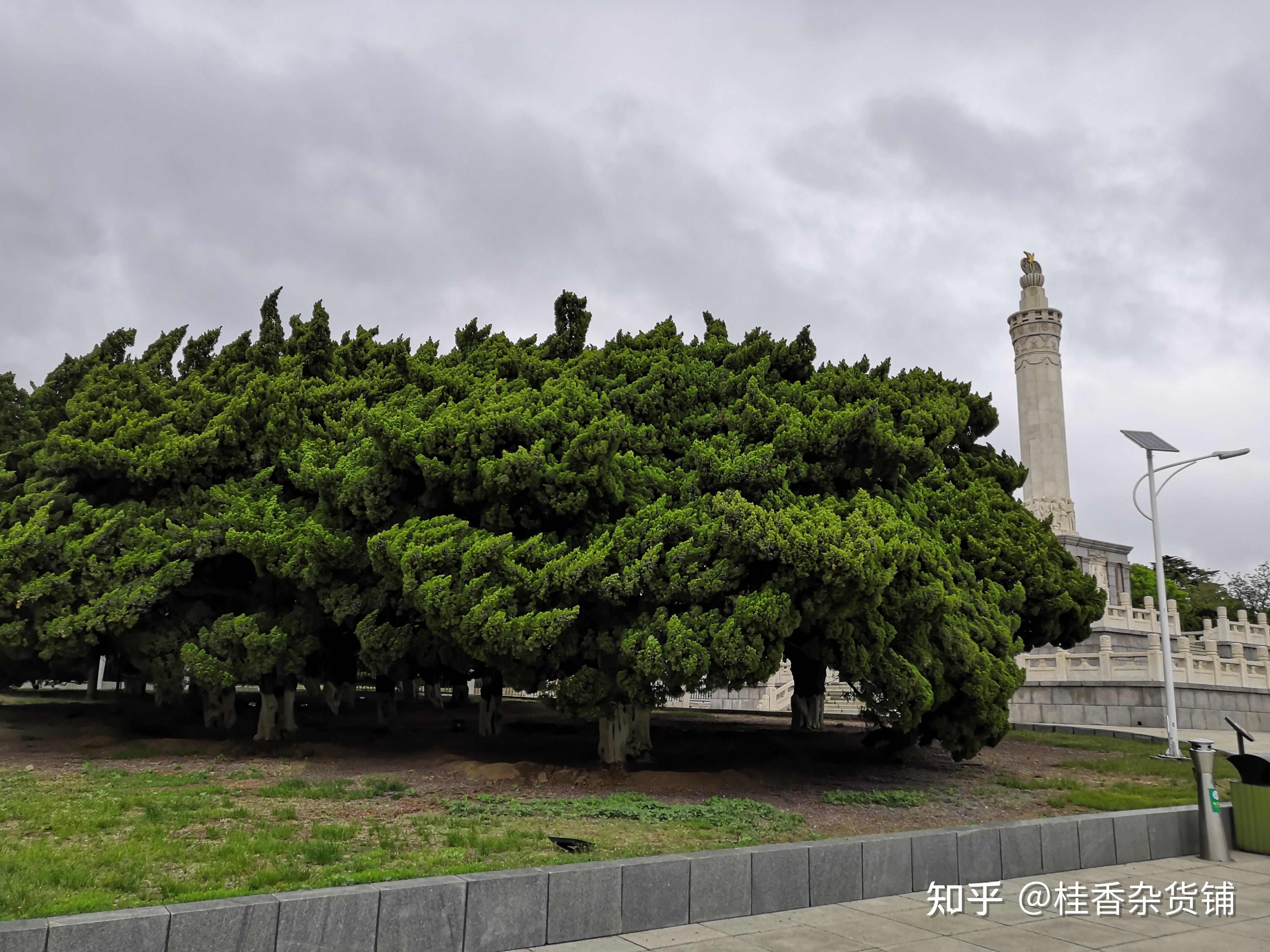 一个旅顺口,半部近代史:旅顺博物馆 - 知乎
