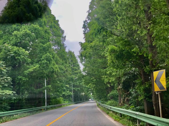 上海哪里自驾线路最美?沪杭公路