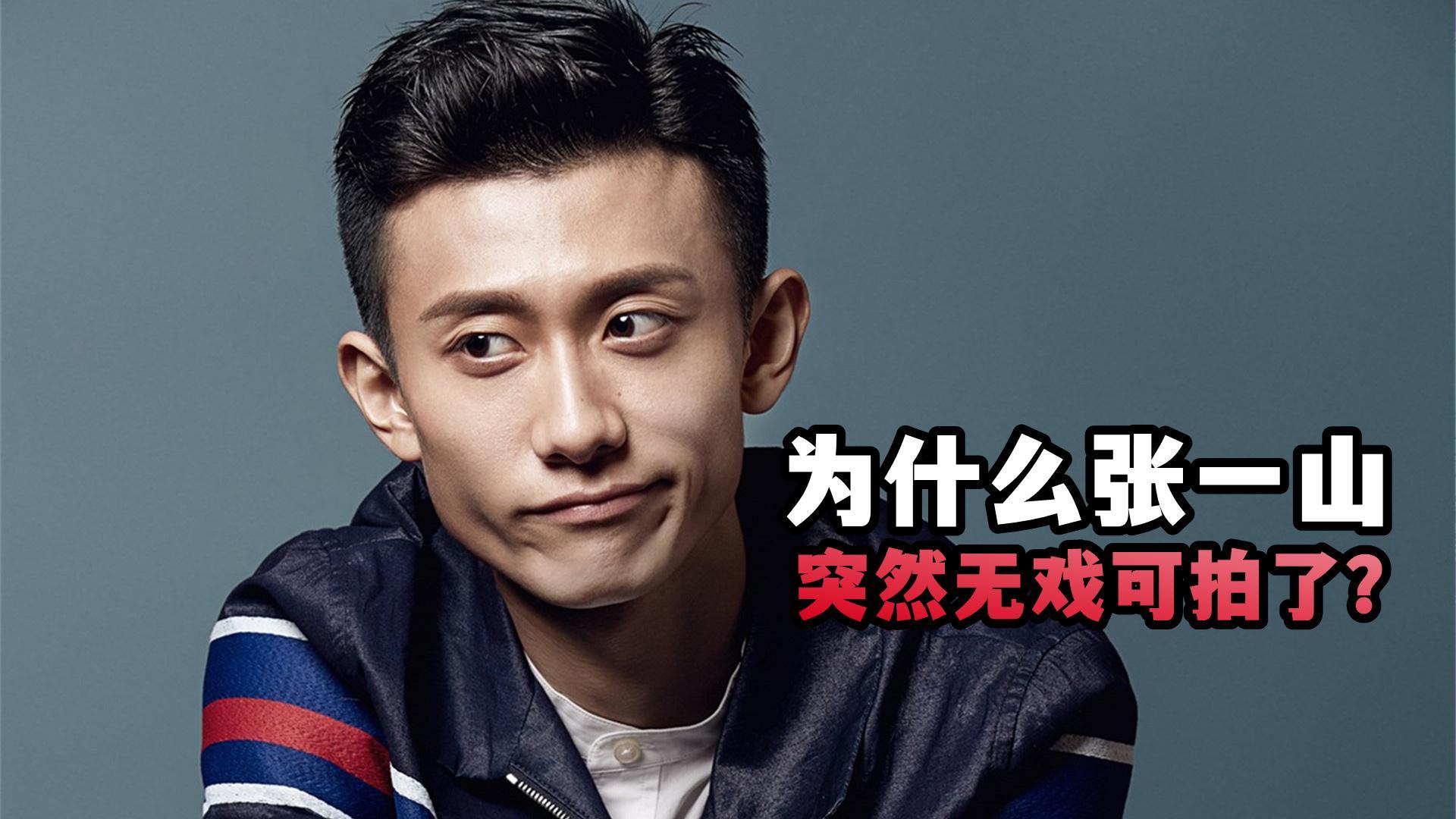 张一山为什么无戏可拍了