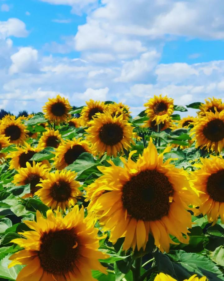 v2-a41107e32147a1353359d9e4872de50c_720w