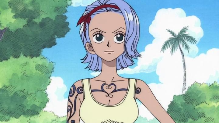 海贼王守护娜美的温柔天使诺琪高