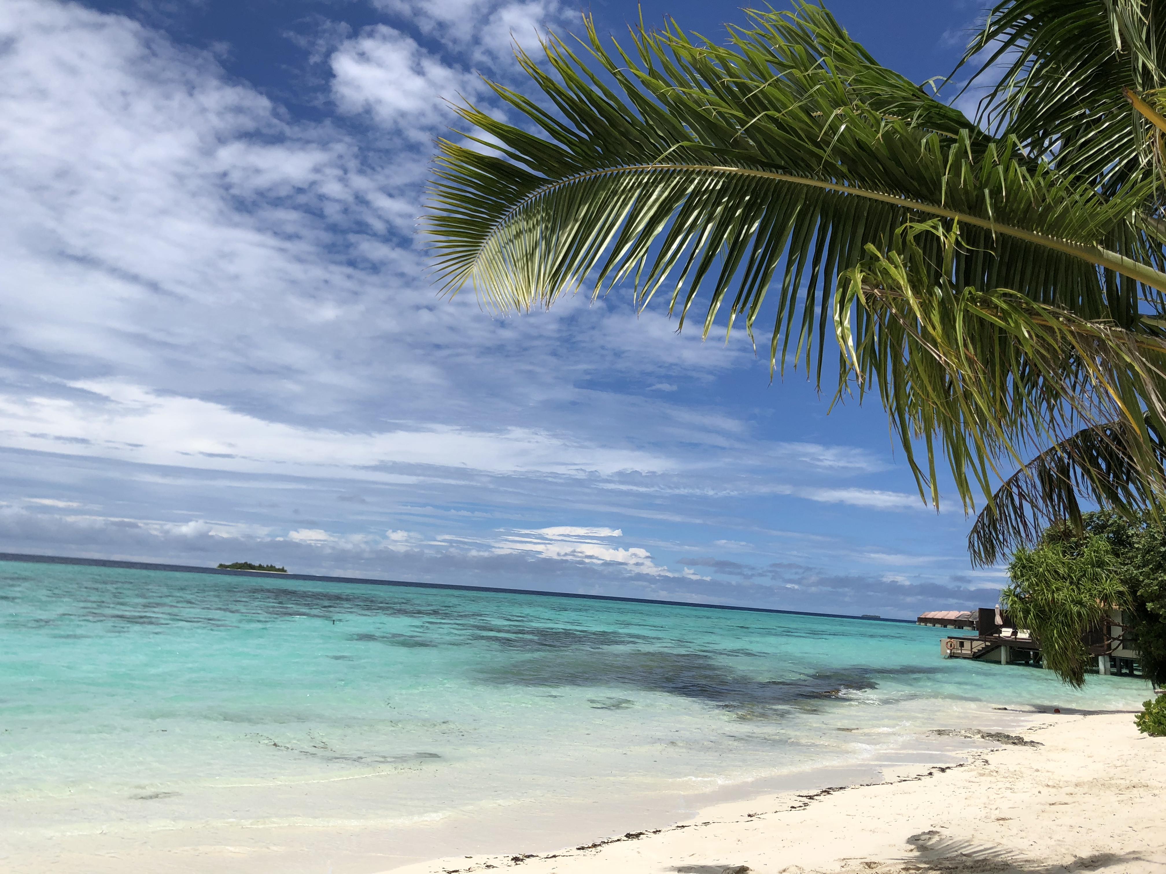 马尔代夫阿雅达岛阿雅达的房礁浮潜攻略，浮潜爱好者必备~,阿雅达岛玩乐攻略 - wee旅