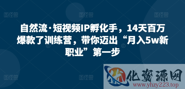 自然流·短视频IP孵化手，14天百万爆款了训练营，带你迈出“月入5w新职业”第一步