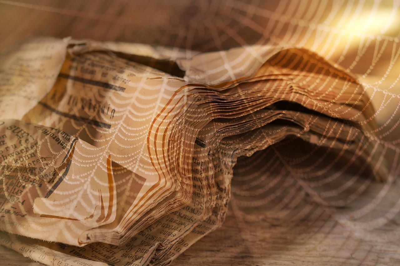 作文思路剖析与范文借鉴