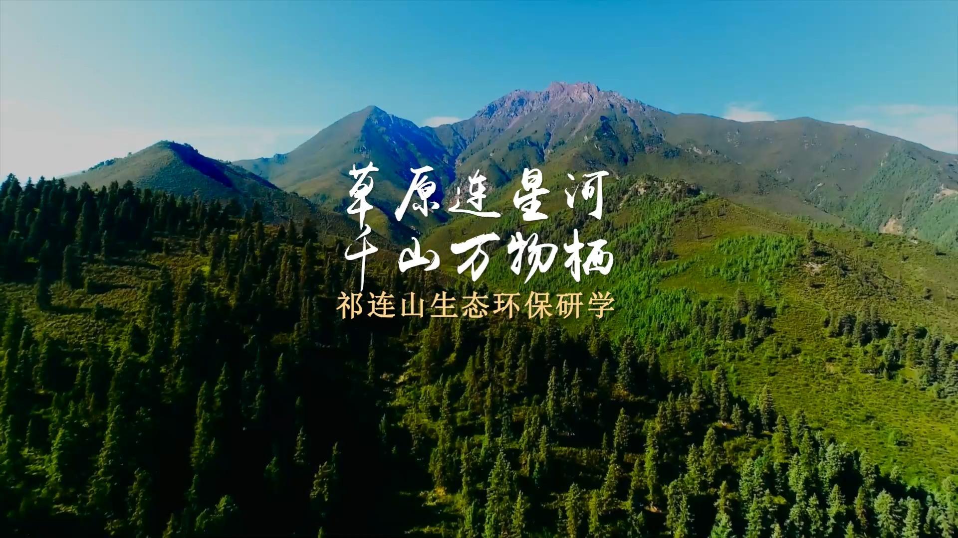 祁连山冰沟河惊艳亮相2024旅业峰会研学专场