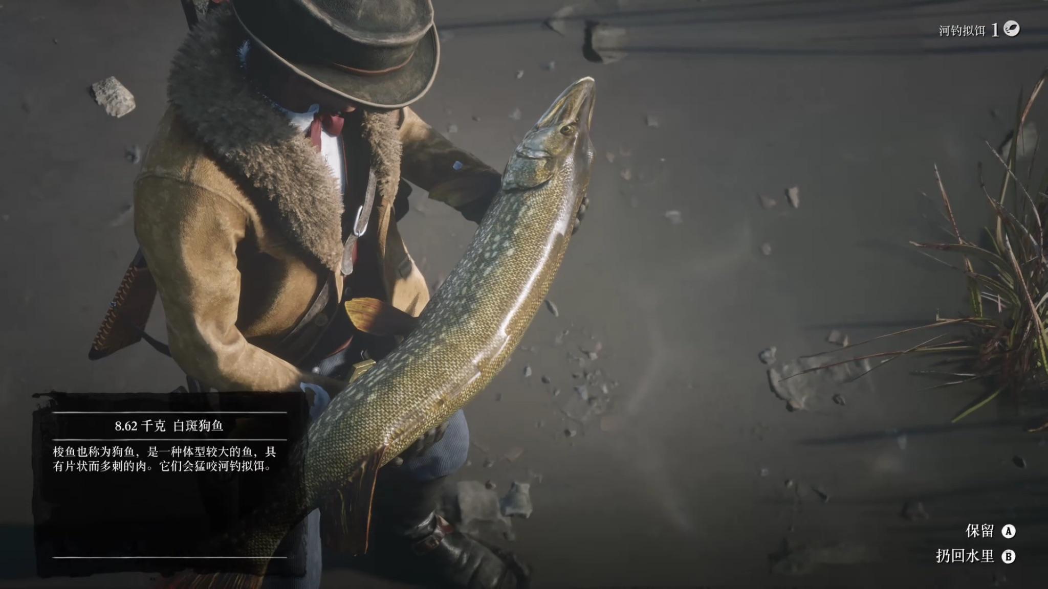 荒野大镖客2线上862千克白斑狗鱼现钓现烤戳中笑点