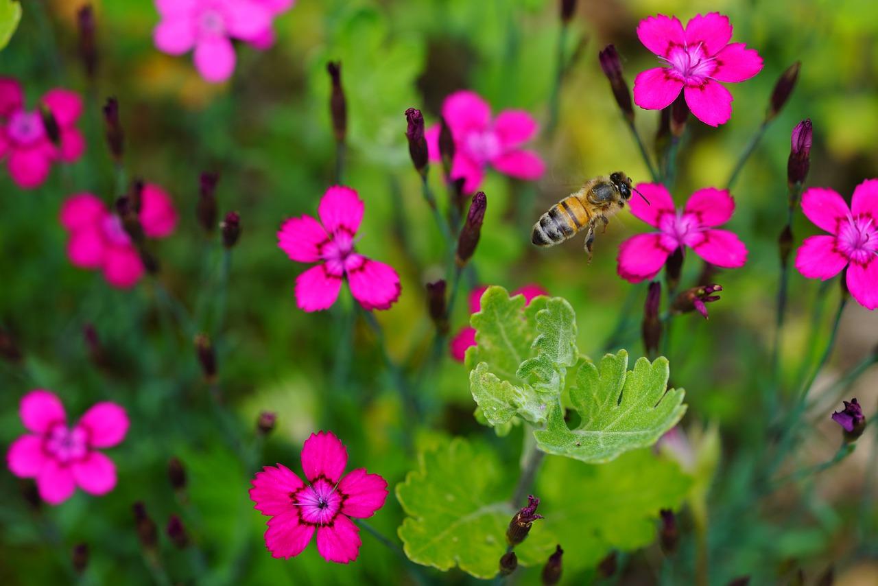 3. 走进绿意生活