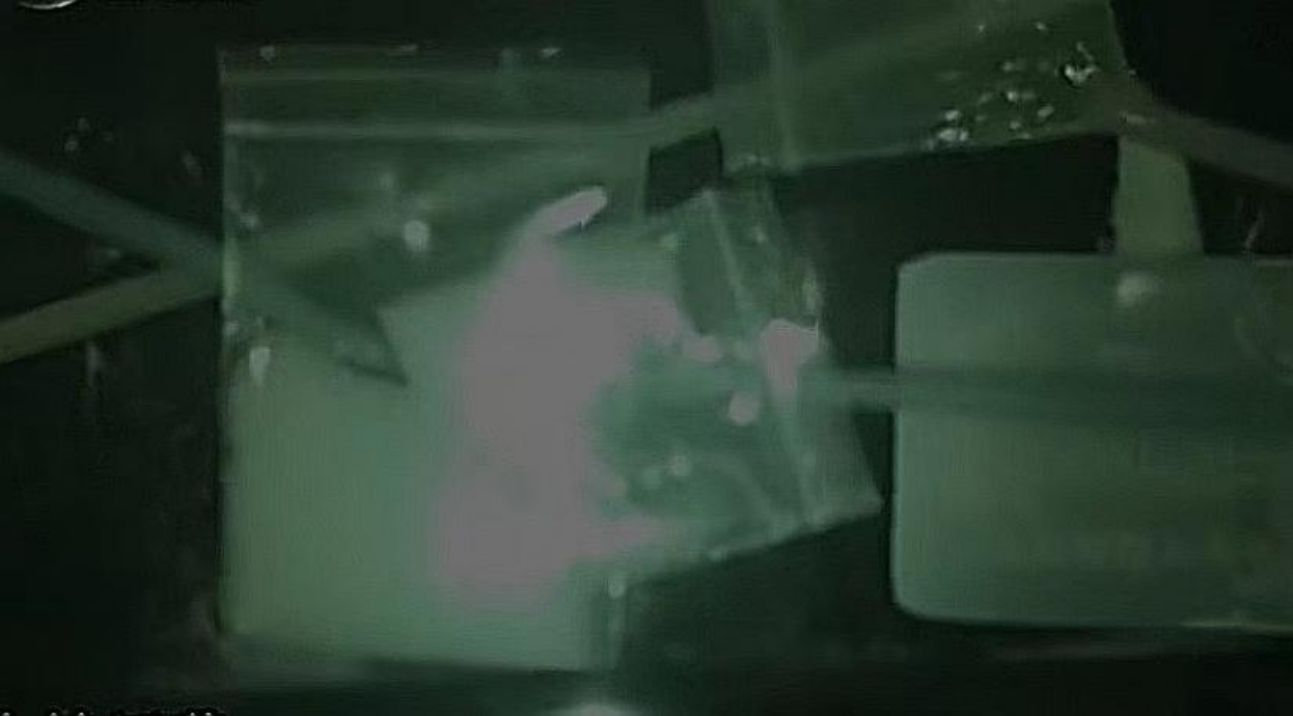 图 4:K 粉,学名「氯胺酮」