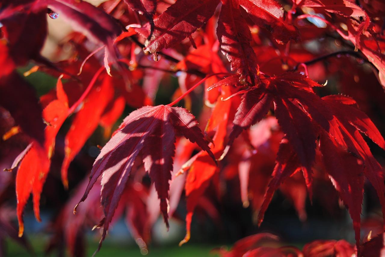 5. 调整网络设置