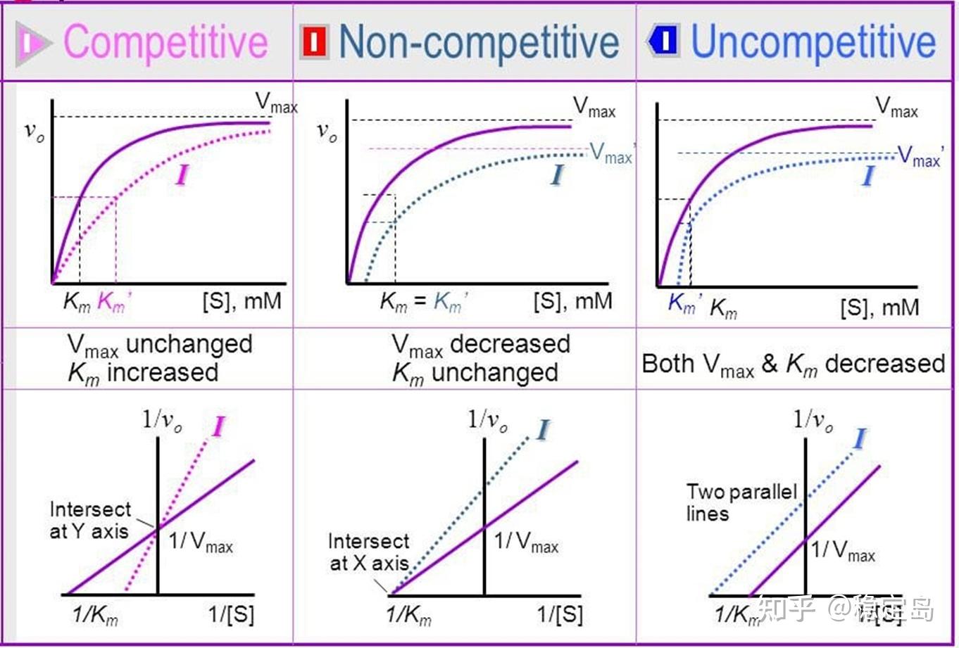 抑制剂的种类有哪些? - 知乎