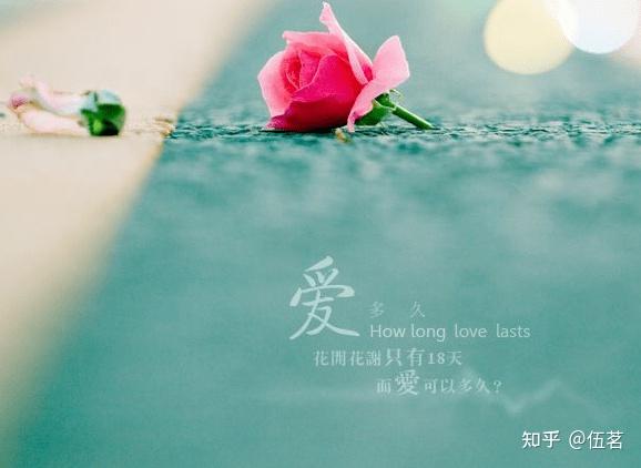 缺爱的人有哪些心理特征? - 知乎