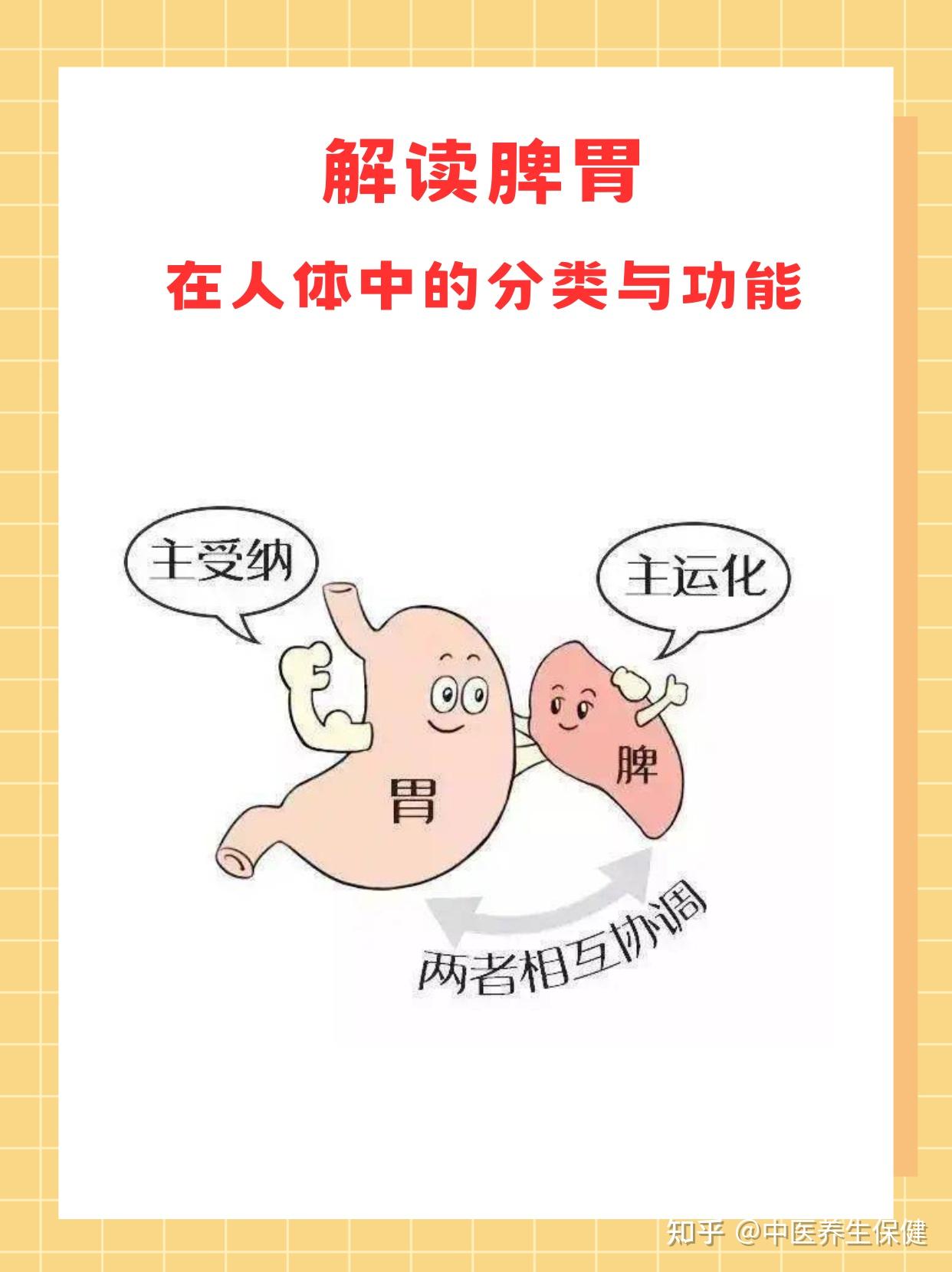 当你少吃这些时，脾胃基本就恢复了 - 知乎