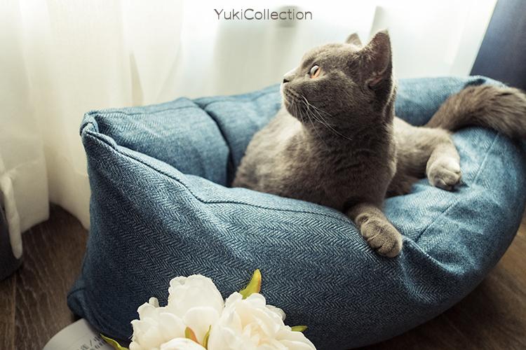 如何选购合适的、或者猫咪喜欢的猫窝? - 知乎