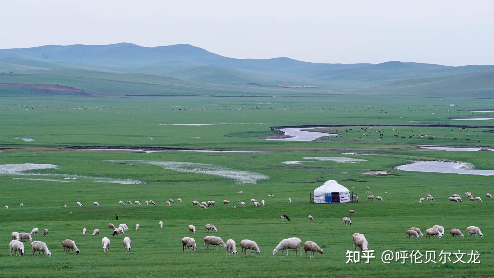 2023内蒙古旅游攻略心得分享——邂逅美丽多彩内蒙古，超级深度避暑之旅【亲身经历分享】 - 知乎