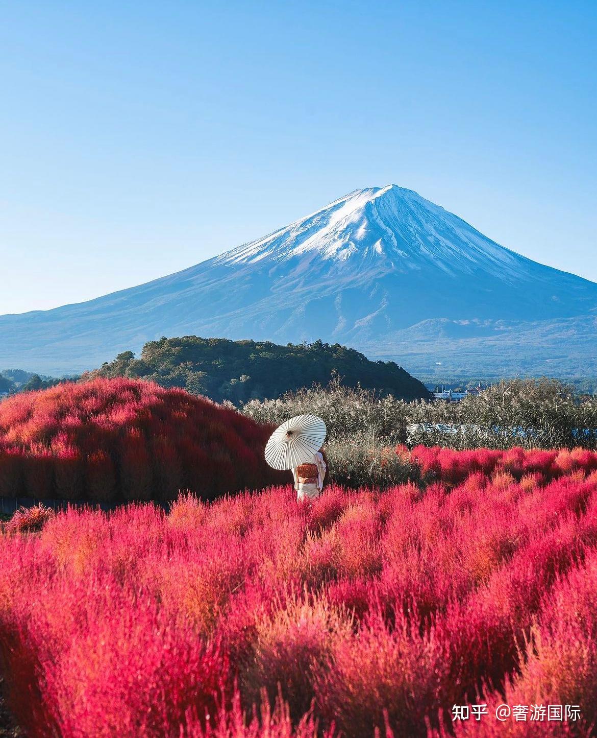 日本富士山赏景有哪些必打卡景点