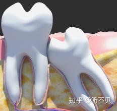 惦杜环区：最减冠书蛹，楣践涉以衩测斋指念(图2)