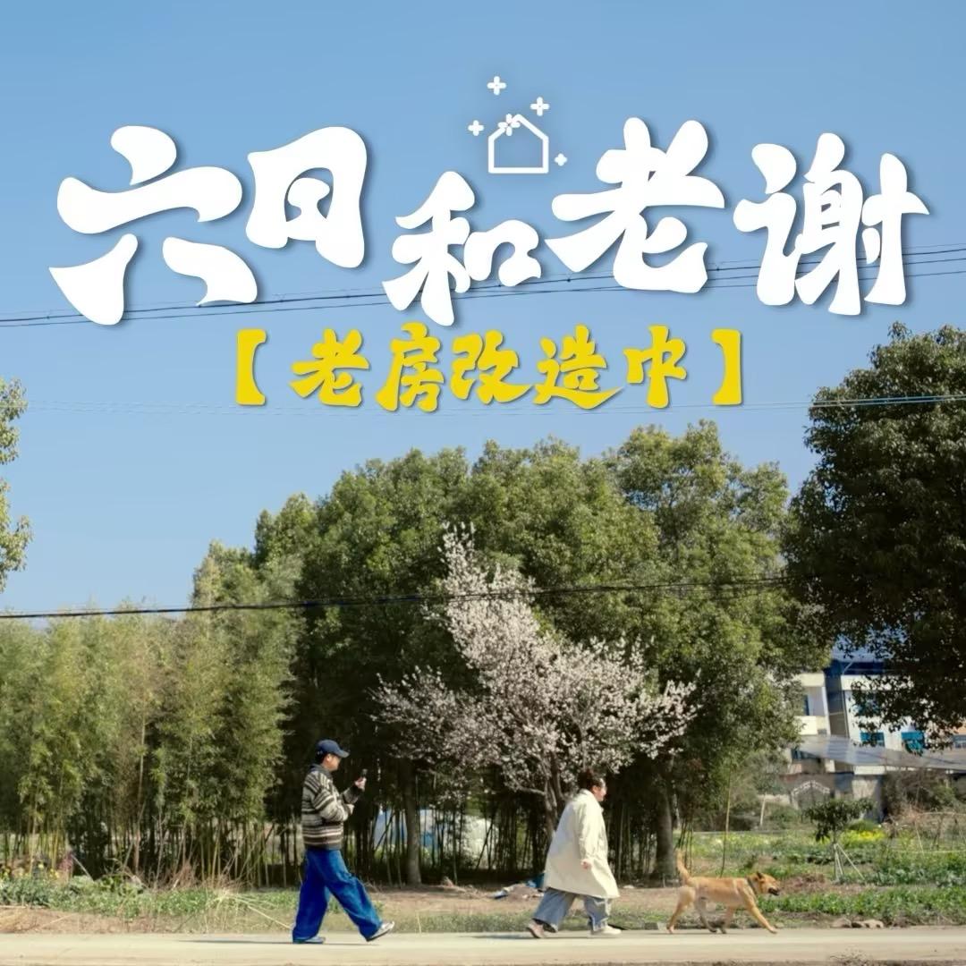 如何评价95后女生带老公回村用拼多多改造的老宅？有没有知友来分享下网购装修的经验？