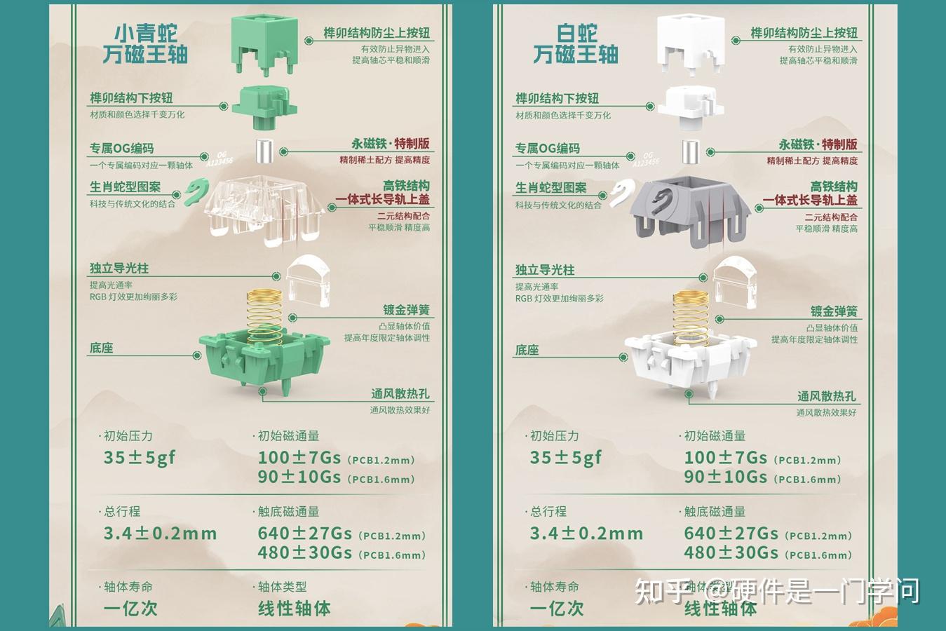 磁轴新王者，万磁王轴有压力了，TTC乙巳生肖蛇轴OG版开箱- 知乎