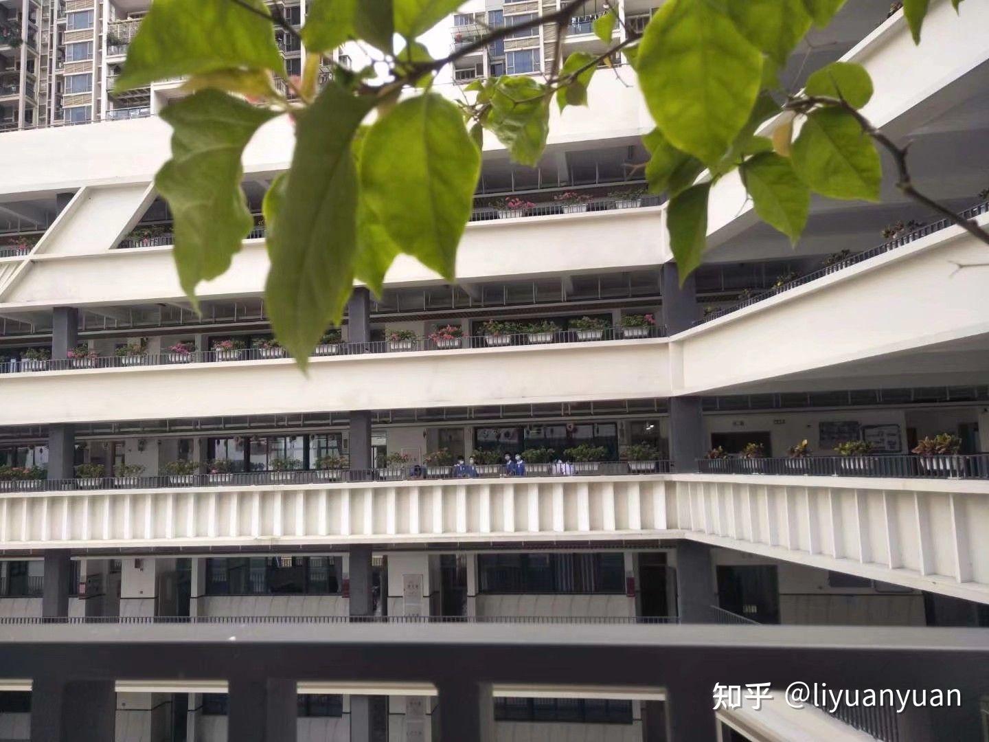 在深圳市龙岗区平安里学校就读是怎样的体验? - 知乎