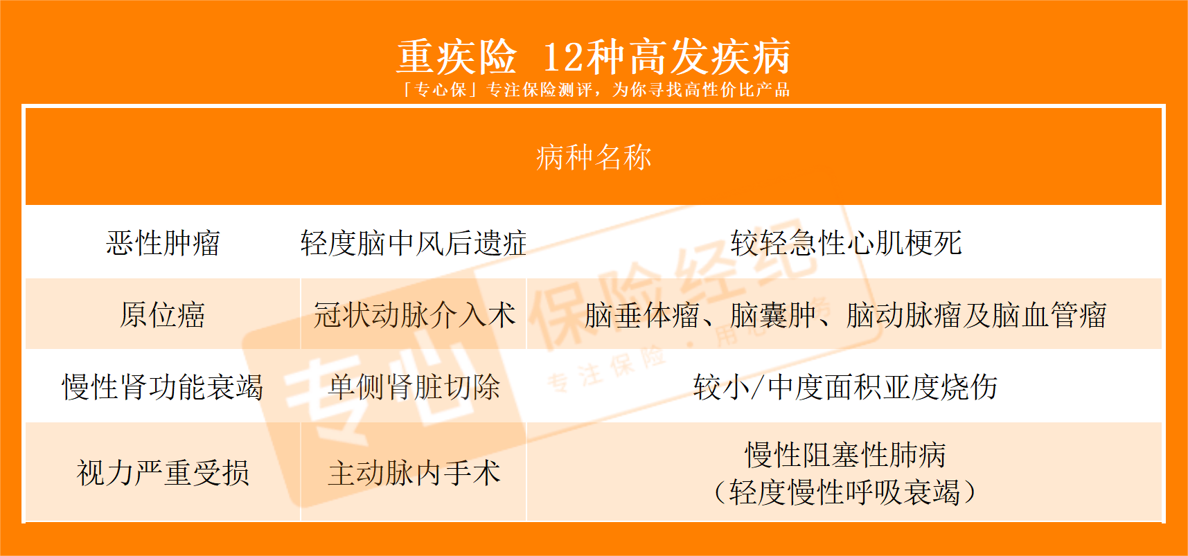 民生保险重疾险142种(民生保险中的重疾险具体是怎样)