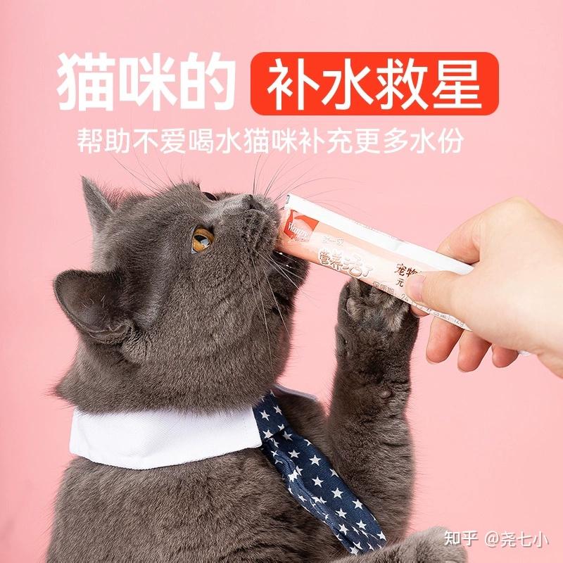 猫条怎么挑选呢？ - 知乎