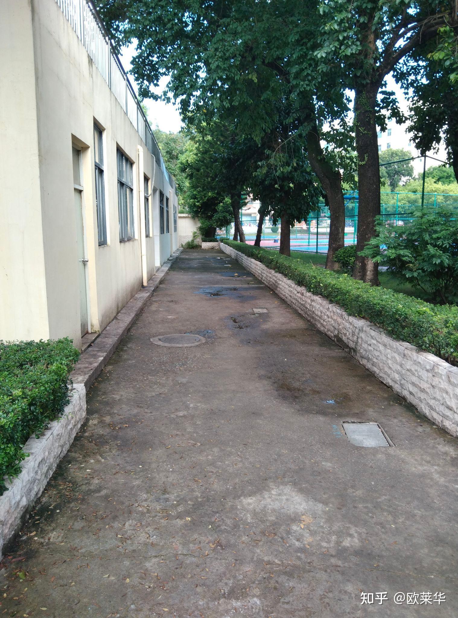 深圳康桥书院怎么样?