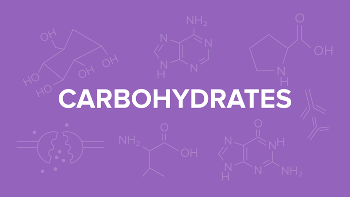 每日一词碳水化合物carbohydrates