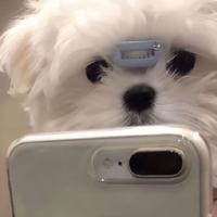 Zhihu profile picture for @uikk