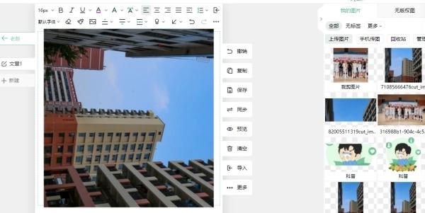 Google Advanced Image Search