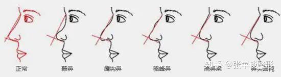 面中一枝花,全靠鼻当家 - 知乎