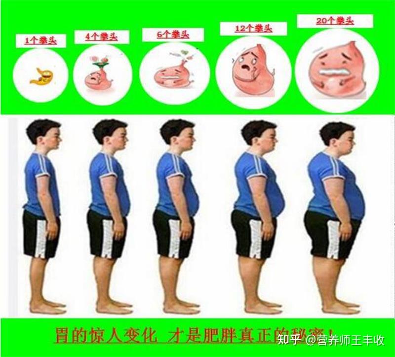 为什么胖的人反而容易饿,吃更多的食物? - 知乎
