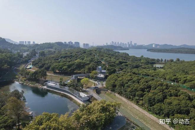 一环九景,全线贯通!深圳环西丽湖绿道(碧道)来了 - 知乎