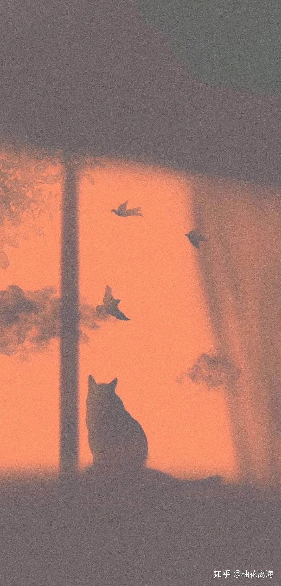 有哪些适合微信8.0的背景图的短文案？ - 知乎