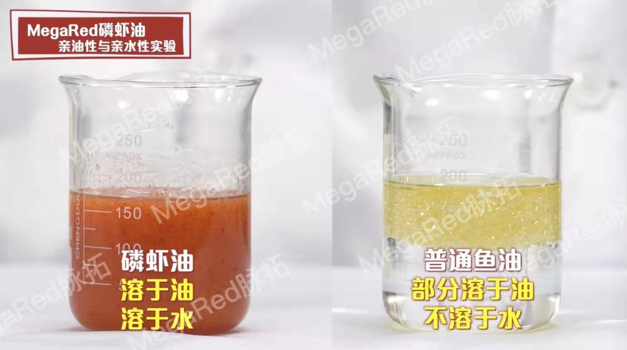 鱼油和磷虾油有什么区别?哪个更好? - 知乎