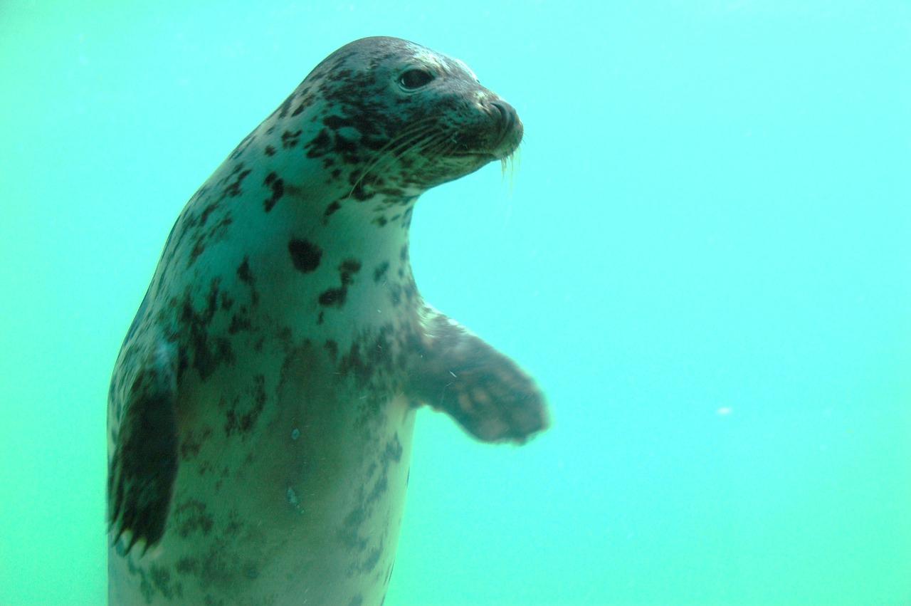 4. 气体泄漏预防