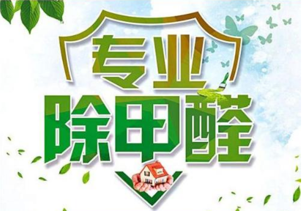 专业除甲醛