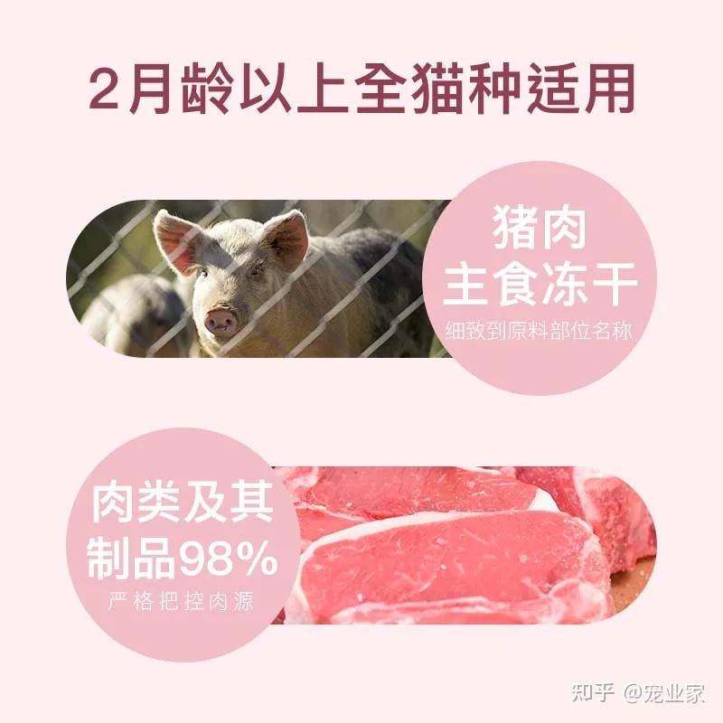 新品|一款全猪配方的生骨肉主食冻干 - 知乎