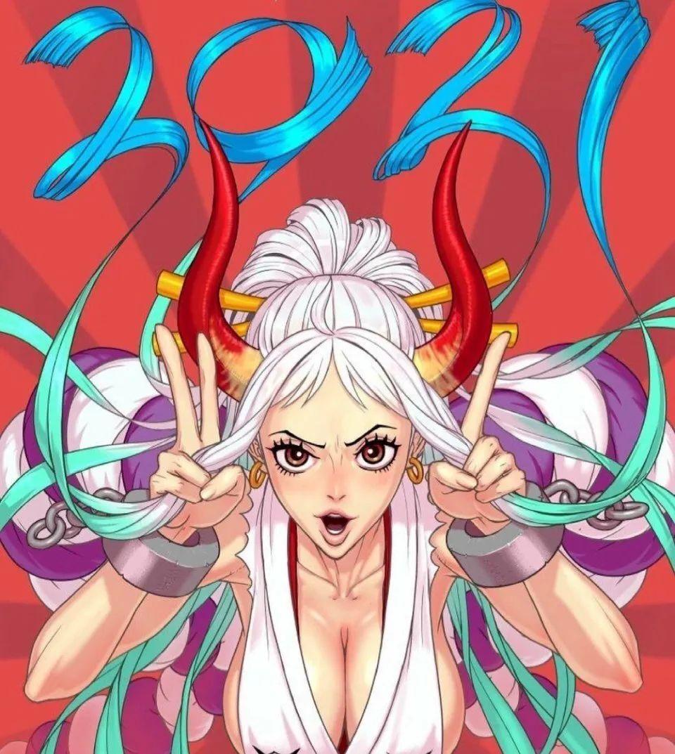 有没有海贼王大和图片